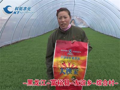 黑龍江-富?？h-友誼鄉(xiāng)-綜合村
