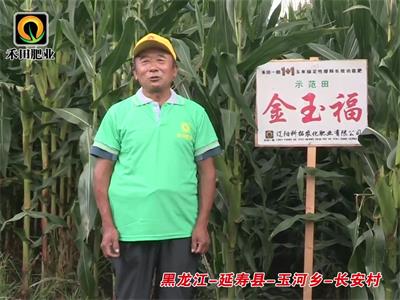 黑龍江-延壽縣-玉河鄉(xiāng)-長安村-02